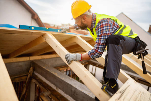 Best Roof Repair Services  in Forest, MS