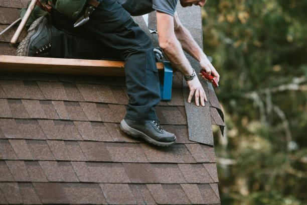 Roof Gutter Cleaning in Forest, MS